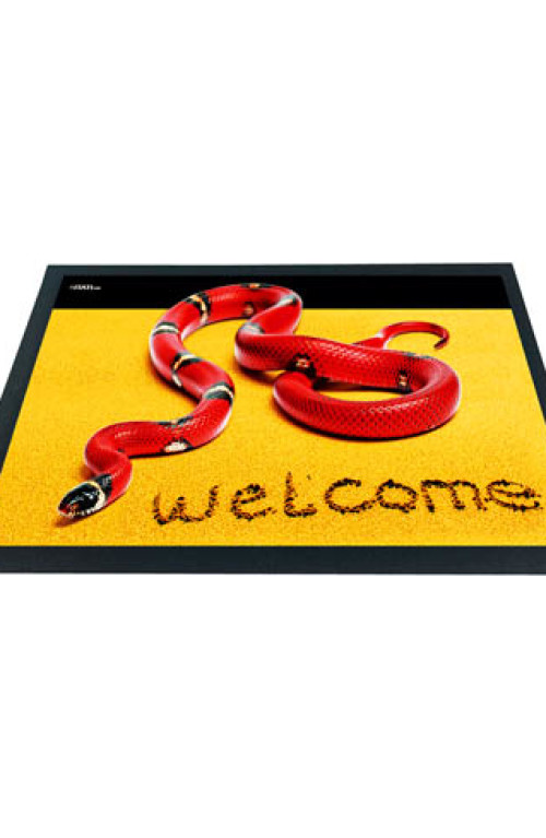 3D DOORMAT Snake