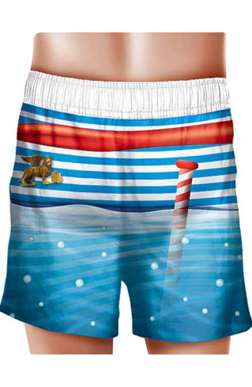 Venice SWIM BOXER