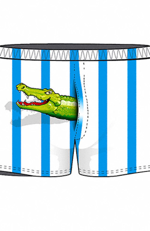 Crocodile boxer