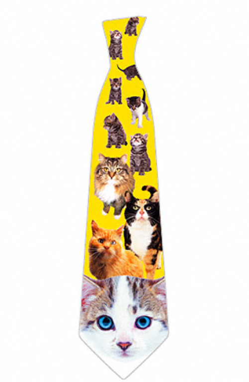 Cats tie